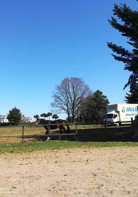 uluslar-arasi-nakliyat-hizmeti-home